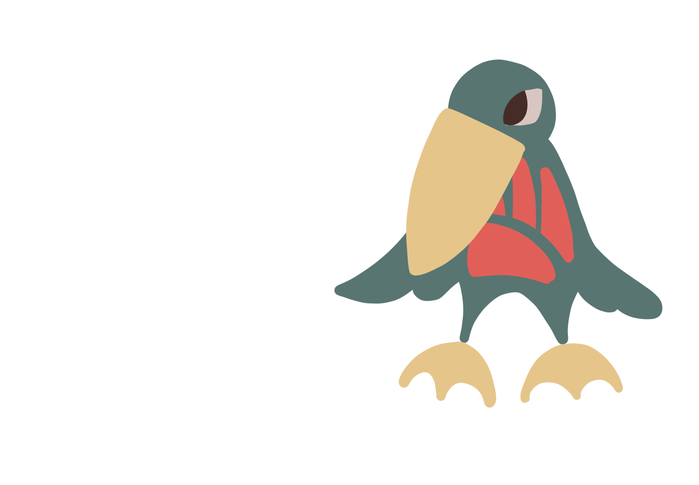 ハシビロコウ